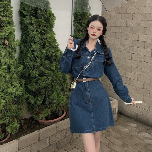 デニムパフスリーブワンピース♡すっきり襟で大人可愛い S2387